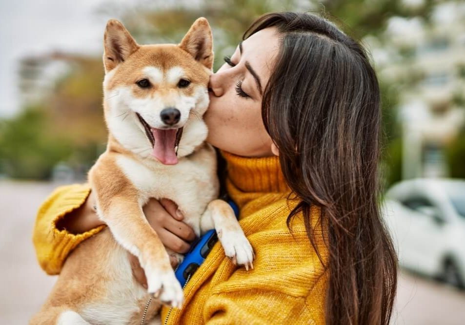 Beautiful young woman kissing and hugging shiba inu dog at street